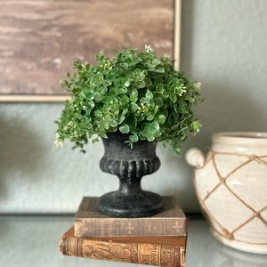 Green Eucalyptus Topiary In Urn (e)